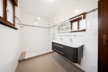 Magnifique propriété rénovée avec parc arboré au cœur du Petit-Lancy