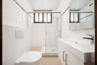 Magnifique propriété rénovée avec parc arboré au cœur du Petit-Lancy